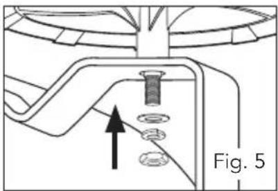 Fig. 5