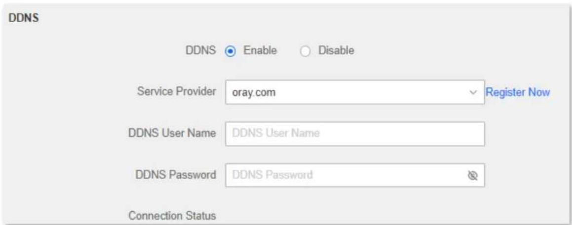 DDNS DDNS Enable Disable Service Provider oray.com Register Now DDNS User Name DDNS User Name DDNS Password DDNS Password Connection Status