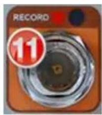 RECORD 11