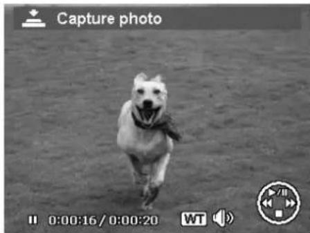 Black-and-white photo of a dog running on grass, captured by a video camera (no text or symbols on the image itself)