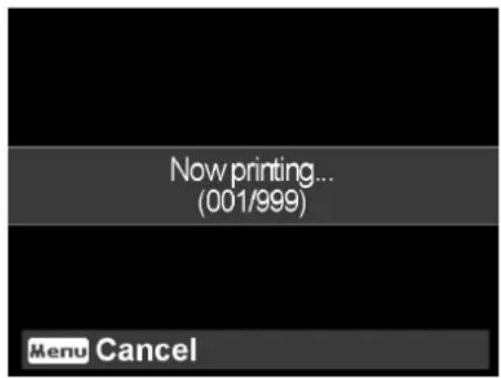 Now printing... (001/999) Menu Cancel