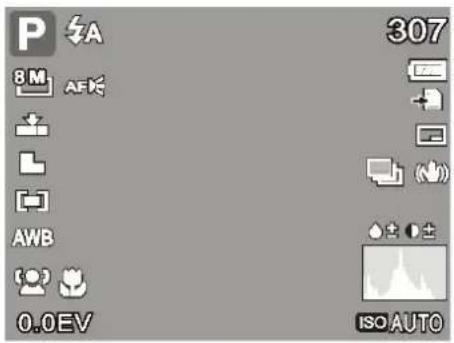 P A 8 M AF AWB 0.0EV 307 ISO AUTO