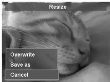 Resize Overwrite Save as Cancel