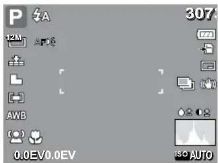 P A 12M 307 AWB 0.0EV0.0EV ISO AUTO