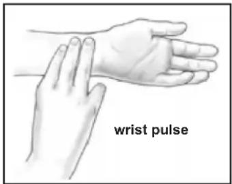 wrist pulse