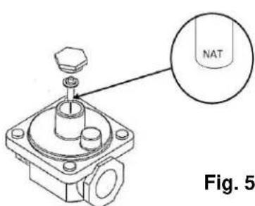 NAT Fig. 5