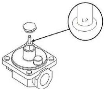 Technical diagram of a mechanical component with labeled part LP, showing a cross-sectional view and a close-up detail.