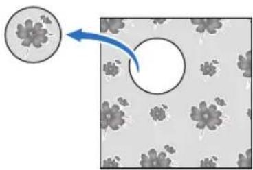 Diagram showing a magnified view of flower-like shapes on a patterned background with a blue arrow pointing to a circular cutout (no text or symbols)