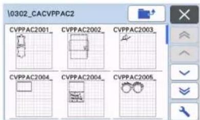 0302_CACVPPAC2 CVPPAC2001 CVPPAC2002 CVPPAC2003 CVPPAC2004 CVPPAC2004 CVPPAC2005