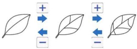 Diagram showing three leaf diagrams with plus and minus signs indicating directional relationships