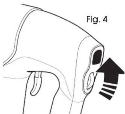 Fig. 4