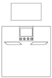 Taylor 57374072F - Weighing-Only Operation - 1
