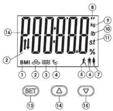 Taylor 5255180 - Features/Specifications - 2