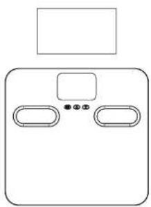 Taylor 5255180 - Weighing-Only Operation - 1