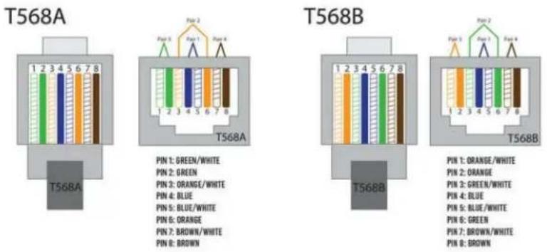 T568A T568A Pin 1: GREEN/WHITE Pin 2: GREEN Pin 3: ORANGE/WHITE Pin 4: BLUE Pin 5: BLUE/WHITE Pin 6: ORANGE Pin 7: BROWN/WHITE Pin 8: BROWN T568B T568B Pin 1: ORANGE/WHITE Pin 2: ORANGE Pin 3: GREEN/WHITE Pin 4: BLUE Pin 5: BLUE/WHITE Pin 6: GREEN Pin 7: BROWN/WHITE Pin 8: BROWN