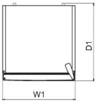 D1 W1