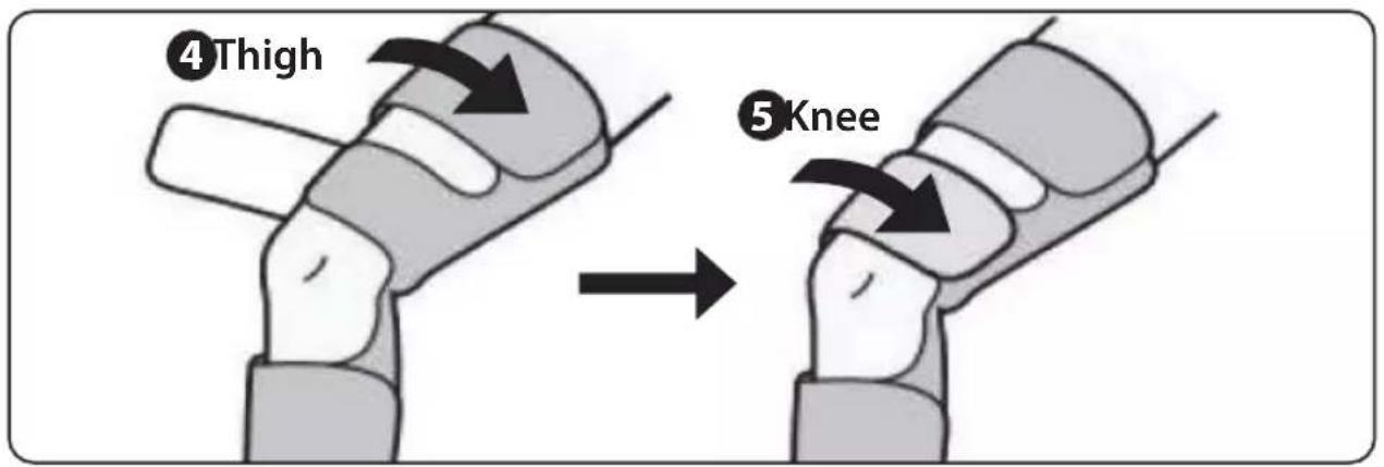 ④Thigh ⑤Knee