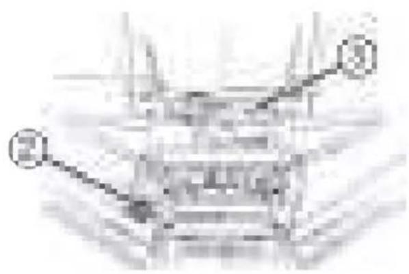 POLARIS RZR Trail S 900 Sport (2023) - CAUTION - 2