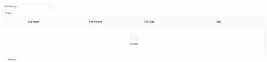Camera List Import File Name Fire Format Fire Size Edit No Data Refresh