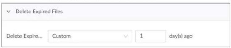 Delete Expired Files Delete Expire... Custom 1 day(s) ago