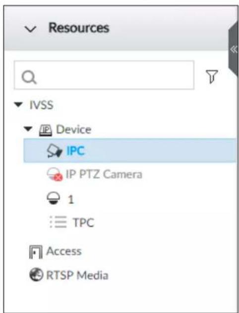 Resources IVSS Device IPC IP PTZ Camera 1 TPC Access RTSP Media