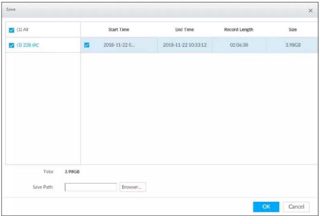 Save (1) All Start Time End Time Record Length Size (1) 228 IPC 2018-11-22 0... 2018-11-22 10:33:12 02:06:30 3.98GB Total 3.98GB Save Path: Browser... OK Cancel
