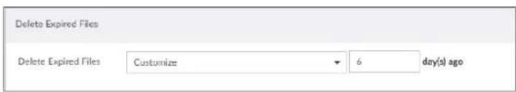 Delete Expired Files Delete Expired Files Customize 6 day(s) ago