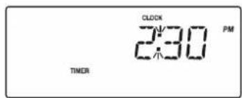 CLOCK 2:30 PM TIMER