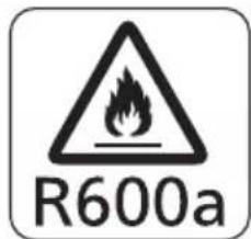 R600a