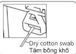 Dry cotton swab Tảm bông khô