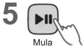5 Mula