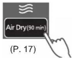 Air Dry(90 min) (P. 17)