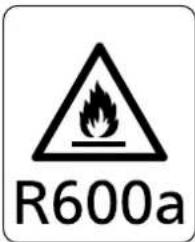 R600a