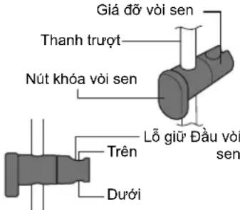 Giá dỡ vòi sen Thanh trượt Nút khóa vòi sen Lỗ giữ Đầu vòi sen Trên Dưới