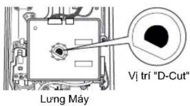 Lung Máy Vị trí "D-Cut"