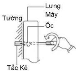 Tường Lung Mây Óc Tắc Kê