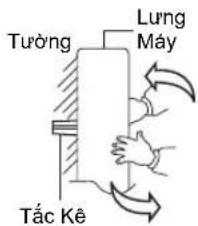 Tường Lung Mây Tắc Kê