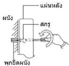 ผนัง แผ่นหลัง สกร พกยืดผนัง