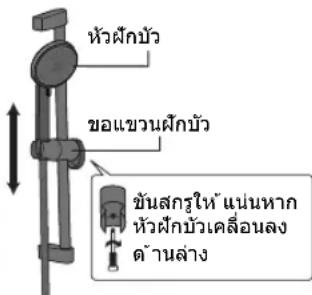 หัวฝึกบัว ขอแขวนฝึกบัว ขันสกรูให้ แนนหาก หัวฝึกบัวเคลื่อนลง ด้านล่าง