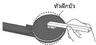 หัวฝึกบัว