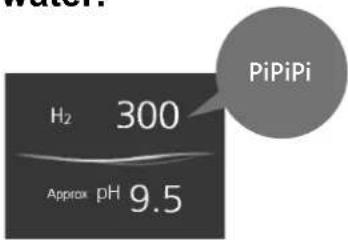 H₂ 300 Approx pH 9.5 PiPiPi