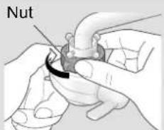 Nut