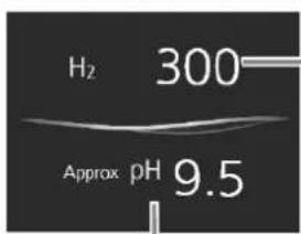 H₂ 300 Approx pH 9.5