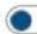 AMX CTP-1301 - AUTO DISPLAY CONTROL - 2