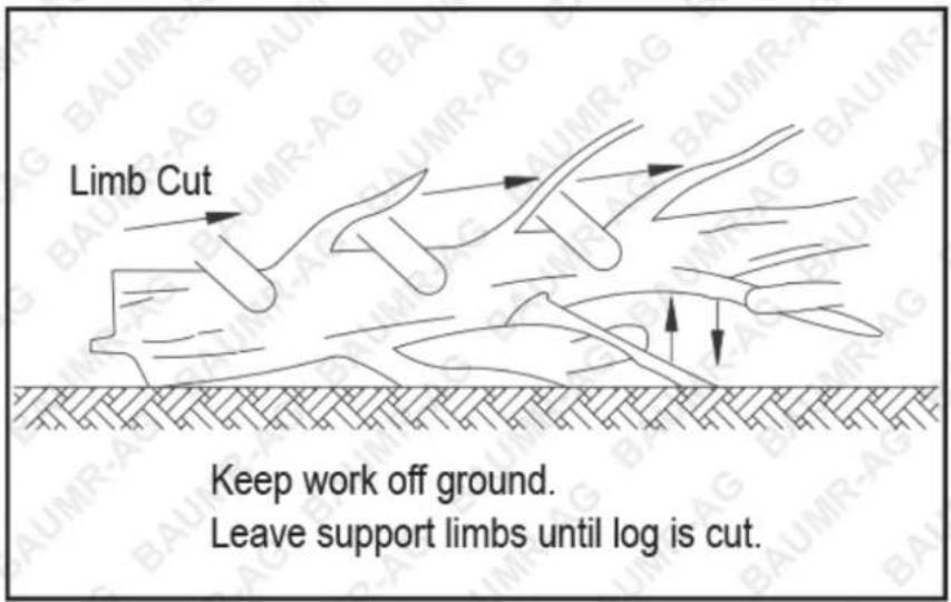 Limb Cut Keep work off ground. Leave support limbs until log is cut.