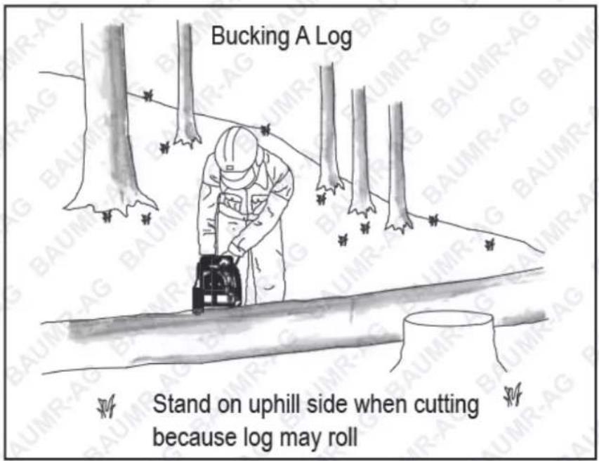 Bucking A Log Stand on uphill side when cutting because log may roll