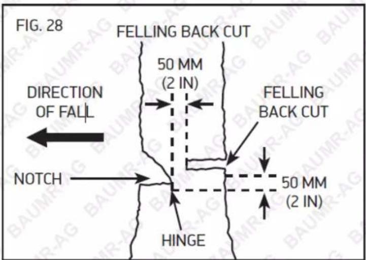 FIG. 28 FELLING BACK CUT 50 MM (2 IN) DIRECTION OF FALL NOTCH HINGE FELLING BACK CUT 50 MM (2 IN)