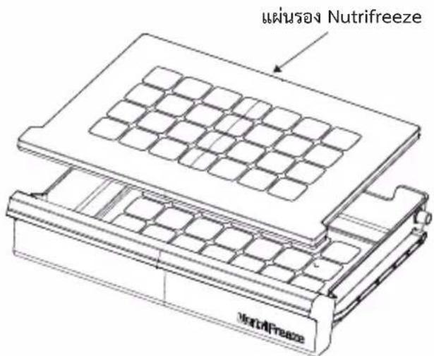 แผนรอง Nutrifreeze Nutrifreeze