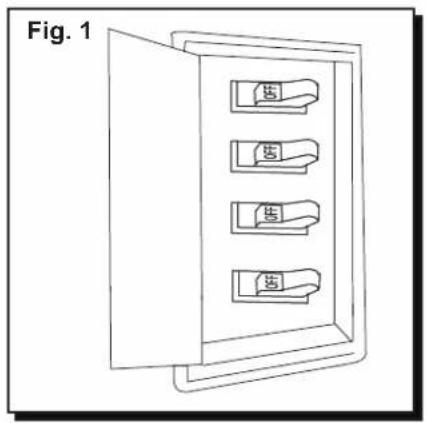 Fig. 1