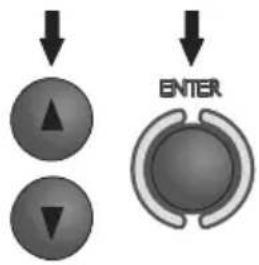 ENTER
